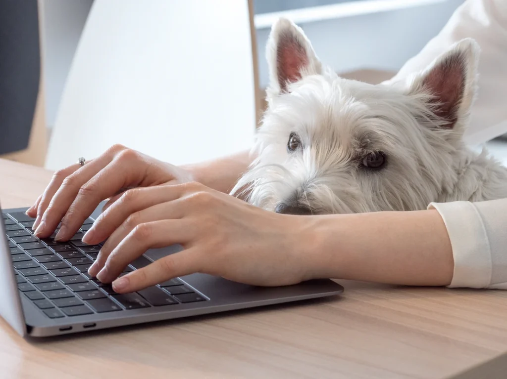 Día de Llevar tu Perro al Trabajo