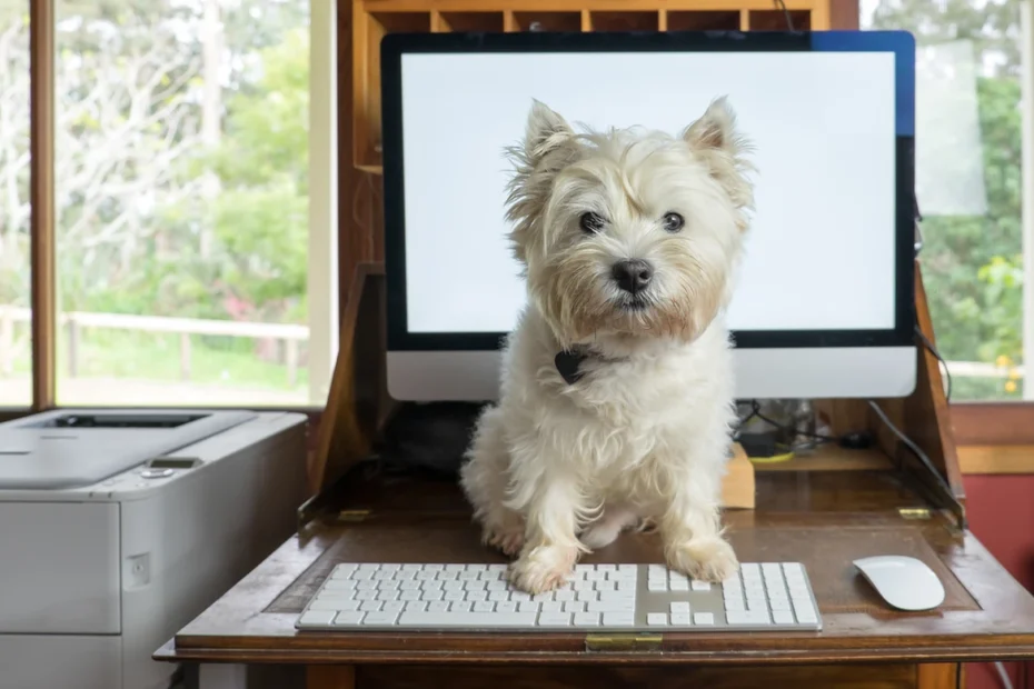 Día de Llevar tu Perro al Trabajo