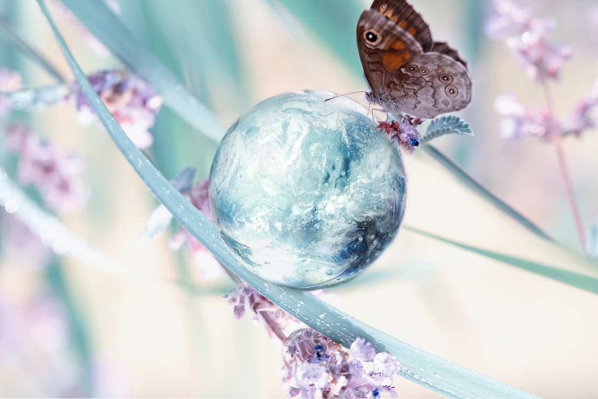 Día Mundial de la Ciencia para la Paz y el Desarrollo