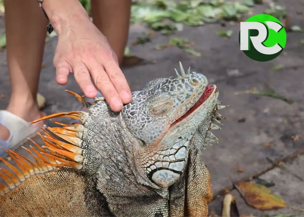 Turismo de aventura: qué es y cómo disfrutarlo en México